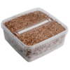 Psilocybe Cubensis Grow Kit